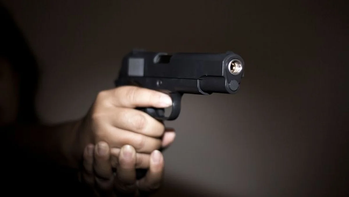 Gun