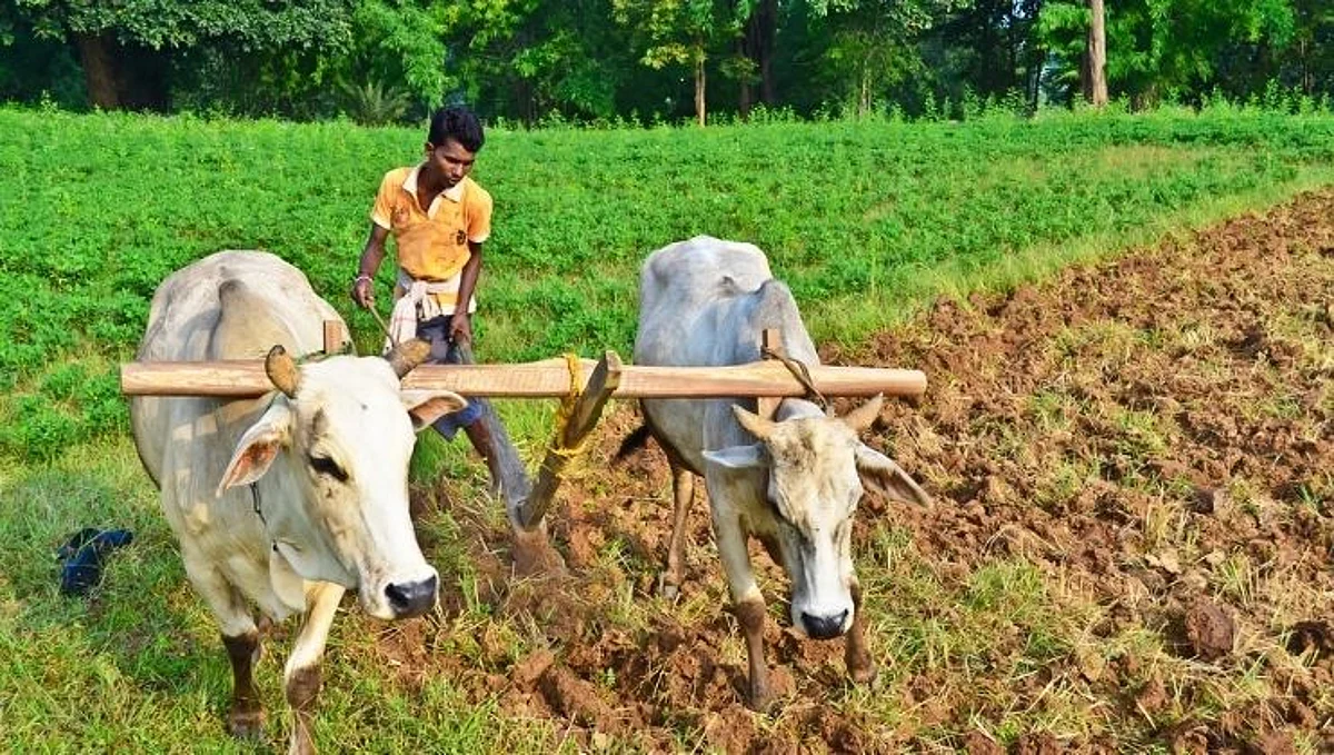Government Scheme: Farmers' income will double this year