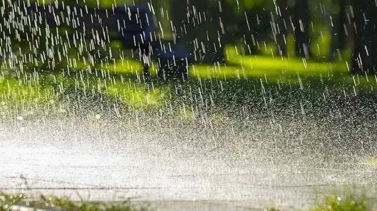 India Weather Forecast :
