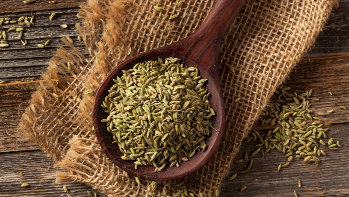 fennel