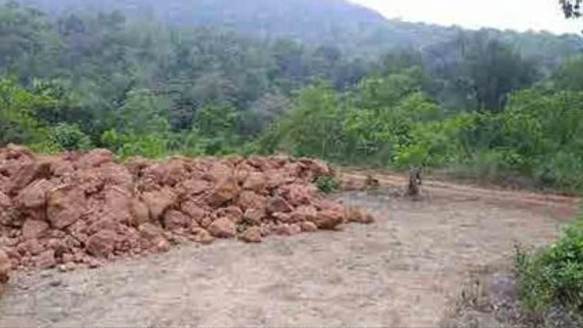 Goa Updates: जमीन विक्रीसाठी विणले रस्त्यांचे जाळे