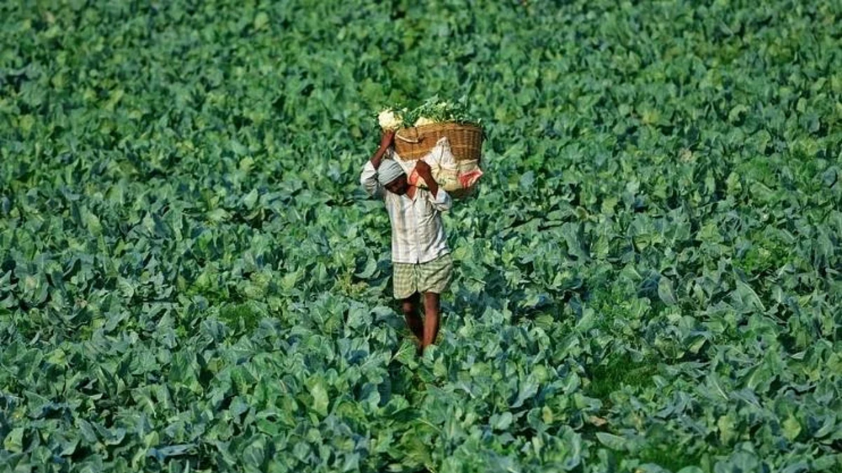 Pradhan Mantri Kisan Samman Nidhi