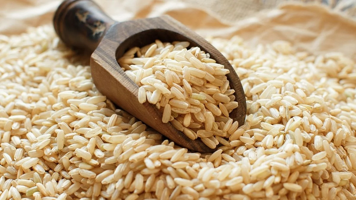 Rice Inquiry | Goa News