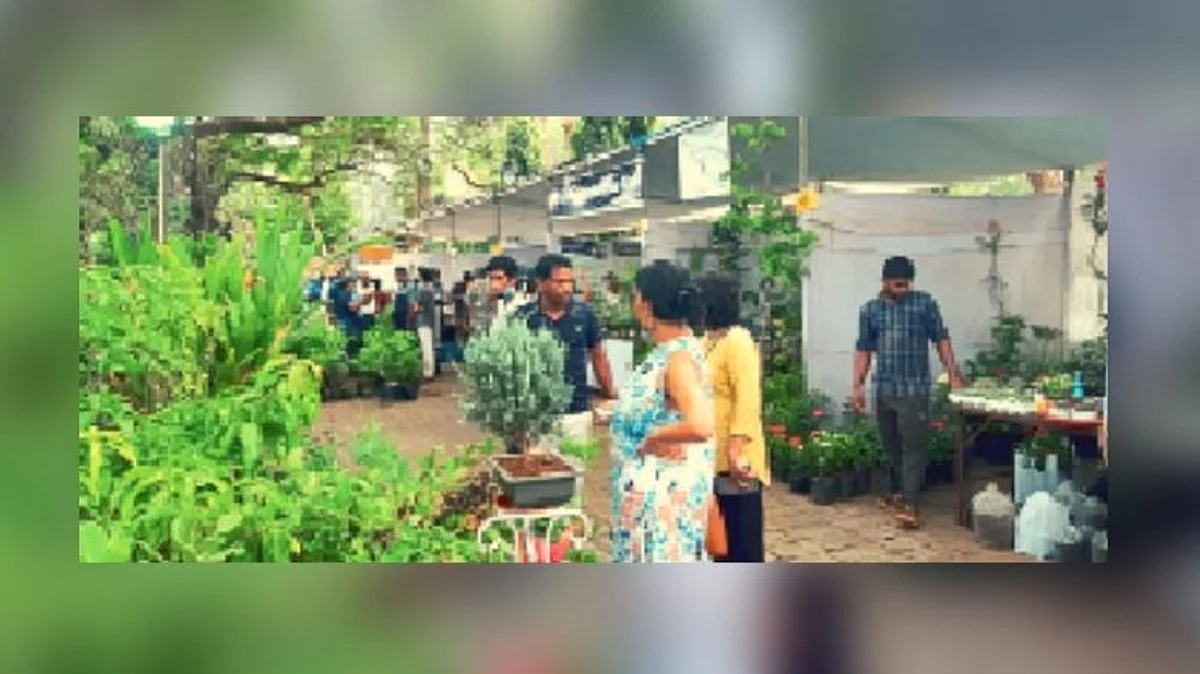 मांडवीतीरी 'कोकण' फळ महोत्सव