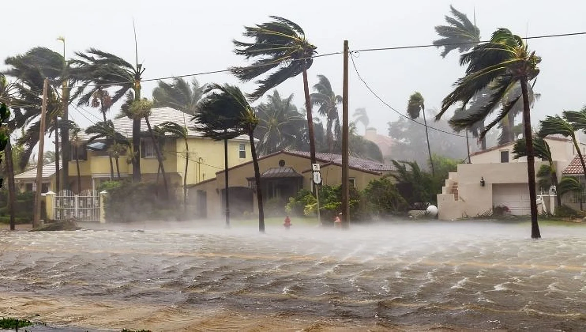 Weather Update: चक्रीवादळाचा अंदाज, 'या' राज्यात मुसळधार पावसाची शक्यता