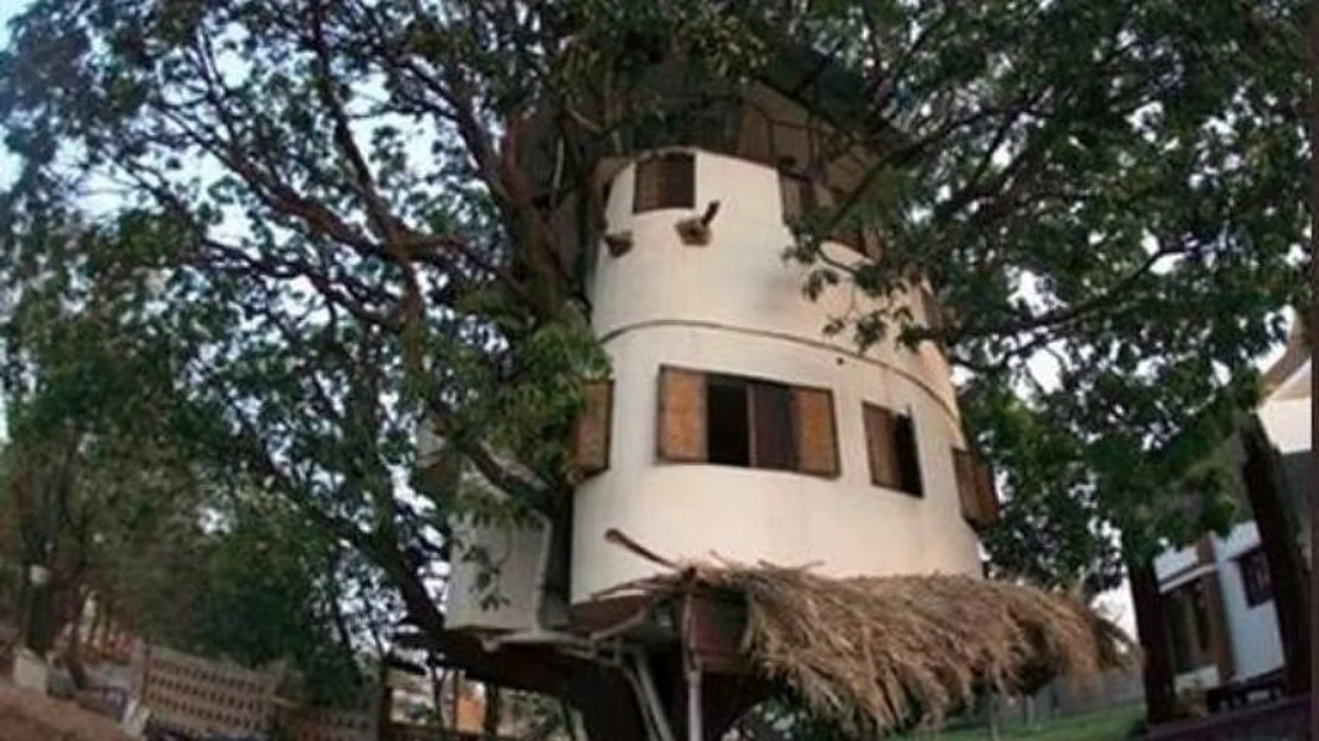 house built on 80 year old mango tree see stunning pictures