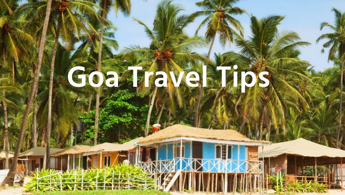 Goa Travel Tips: गोव्याला फिरायचा प्लॅन करताय? बीच सोडून 'या' गोष्टीही पाहाच