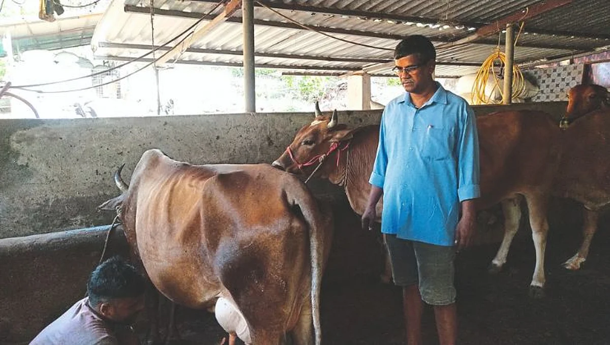 गोव्यातील उच्चशिक्षित तरुणाची दूग्धव्यवसायातून बक्कळ कमाई