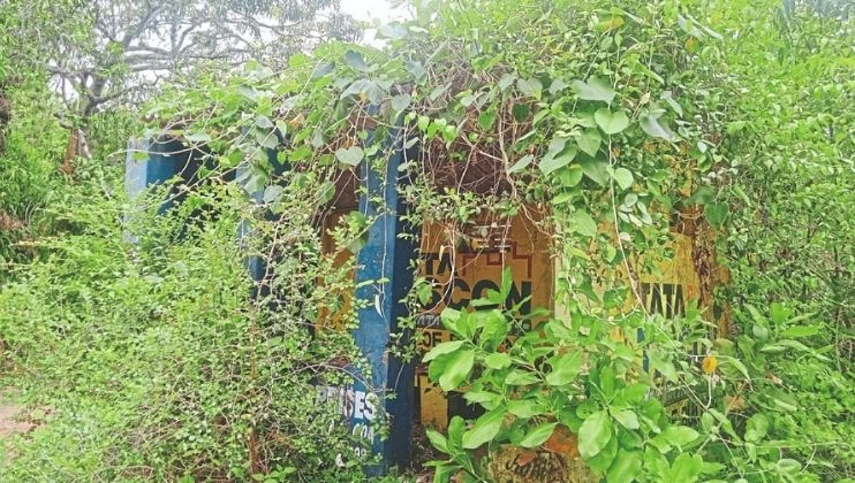 आगोंद येथील बस स्टॉप लपले झाडीत