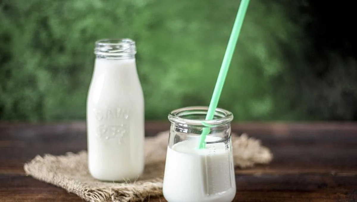 Cold Milk Benefits: उन्हाळ्यात थंड दूध पिण्याचे जबरदस्त फायदे