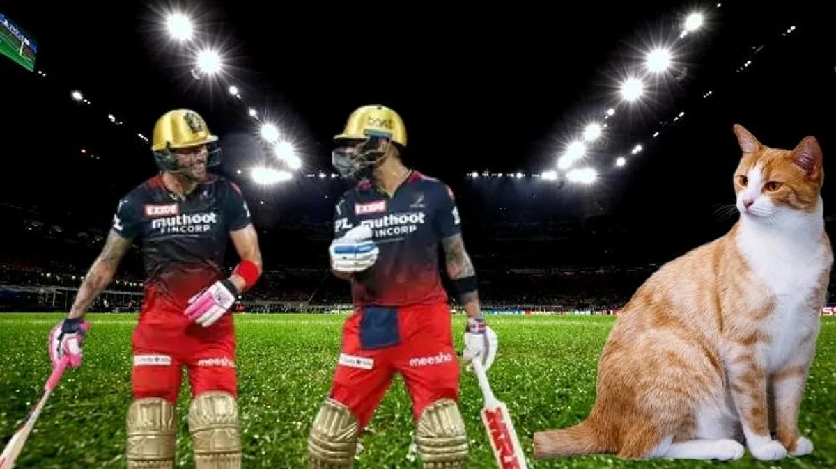 IPL 2022: मॅच पाहण्यासाठी आली मांजर, अंपायरने थांबवाला सामना