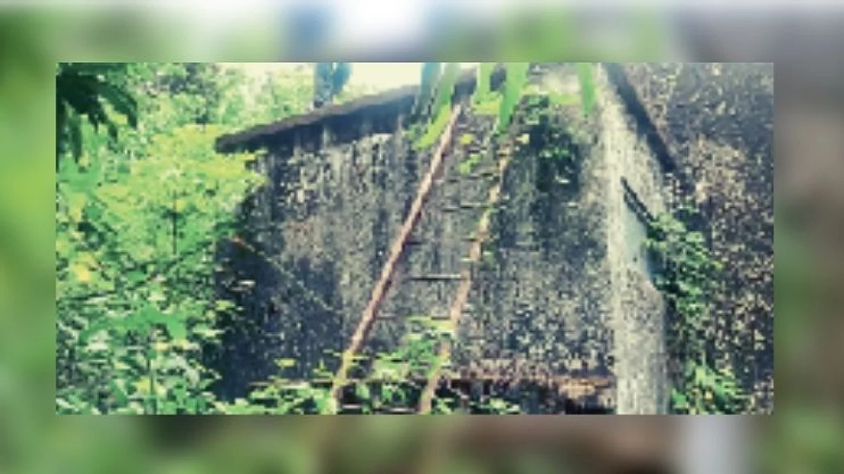 चांदेल पाणी प्रकल्पाच्या टाकीकडे दुर्लक्ष