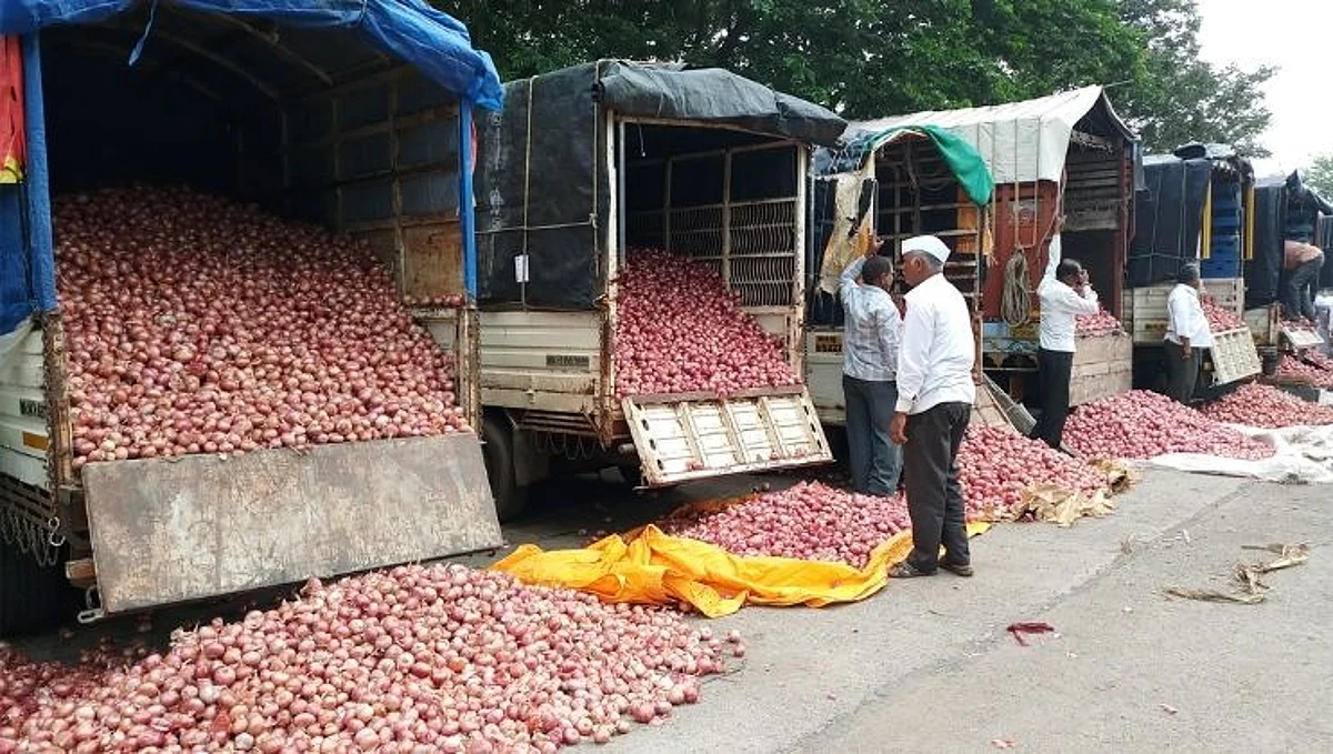 Onion Market