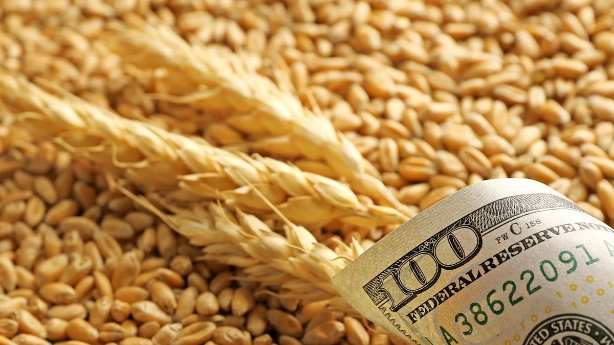 Wheat exports