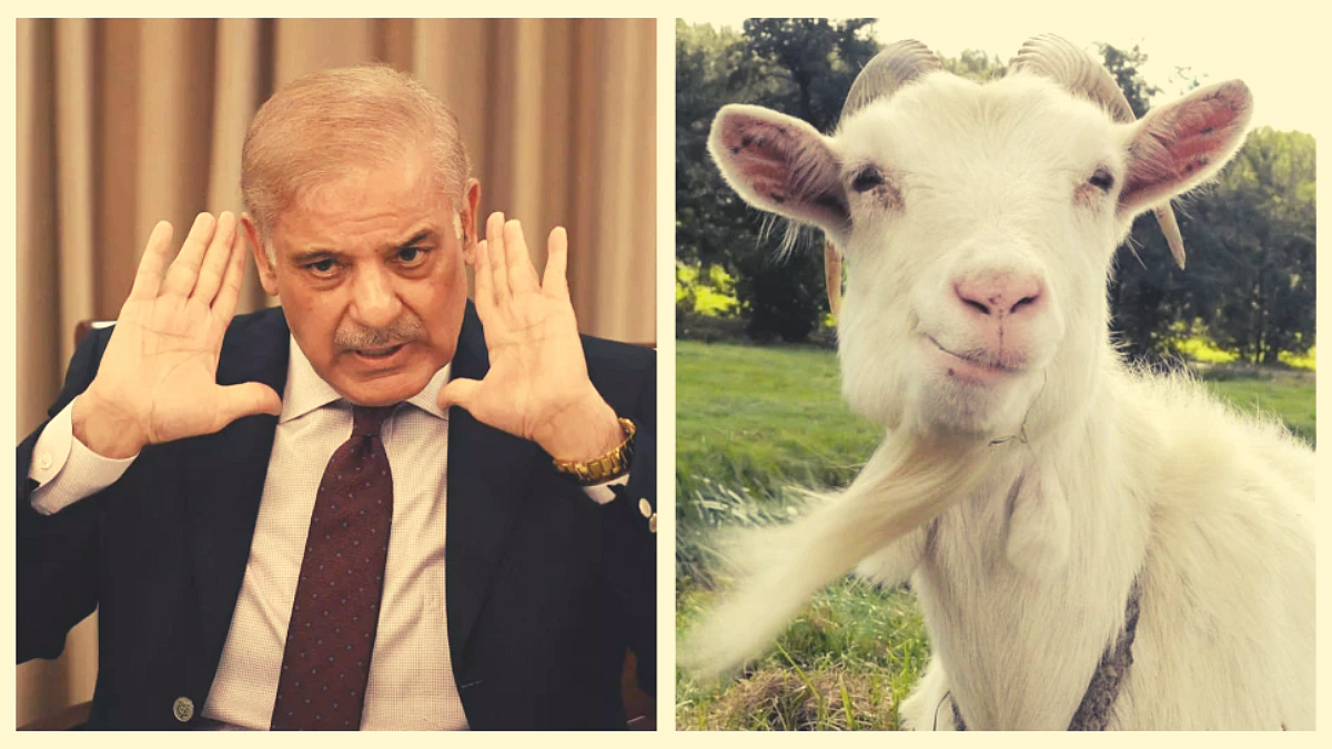 Shehbaz Sharif