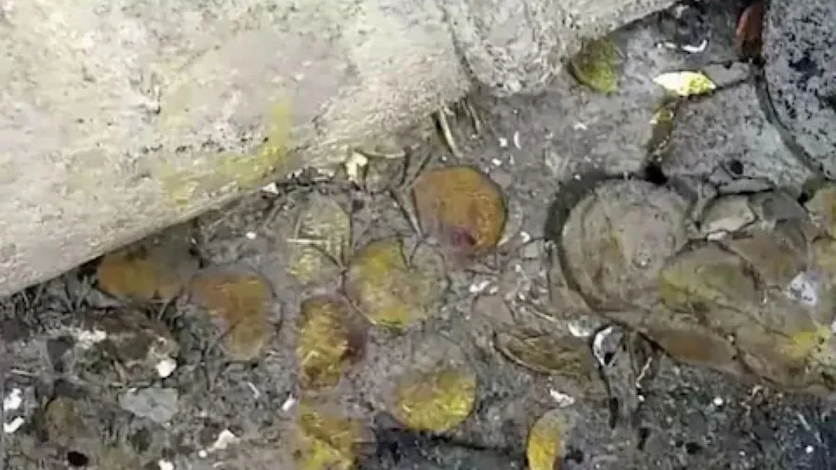 san jose galleon 2 ships found sunk 300 years ago in caribbean