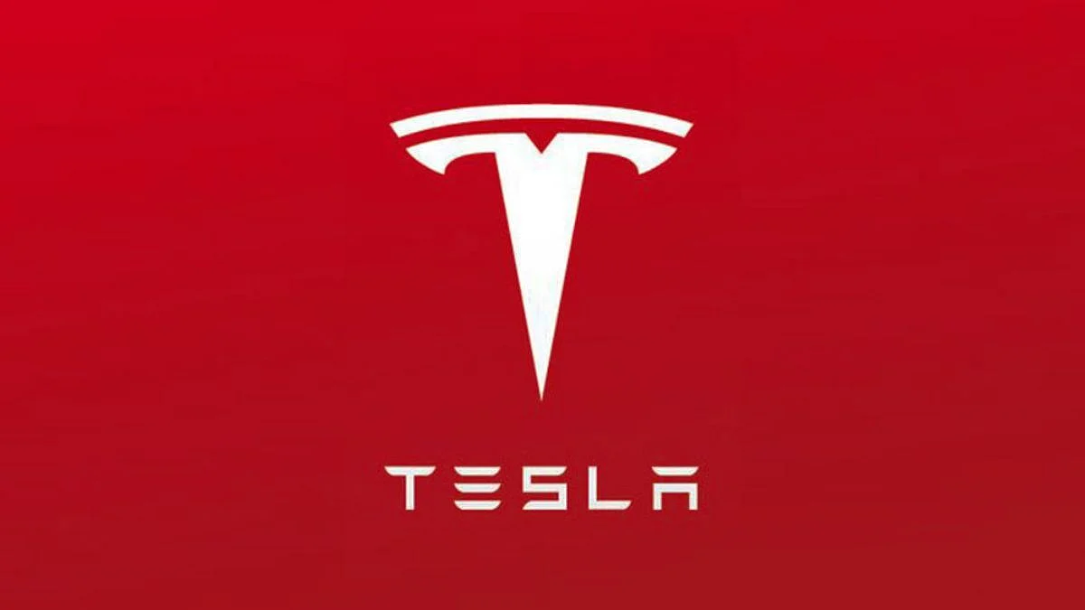 भारतात TESLA प्लांट उभारला नाही म्हणून भारतीय कर्मचाऱ्याने कंपनीला ठोकला रामराम