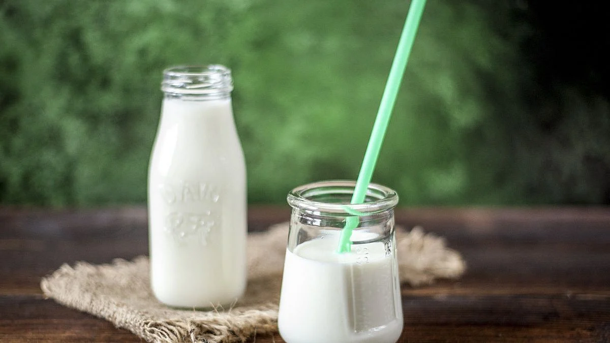 Cow Milk vs Buffalo Milk