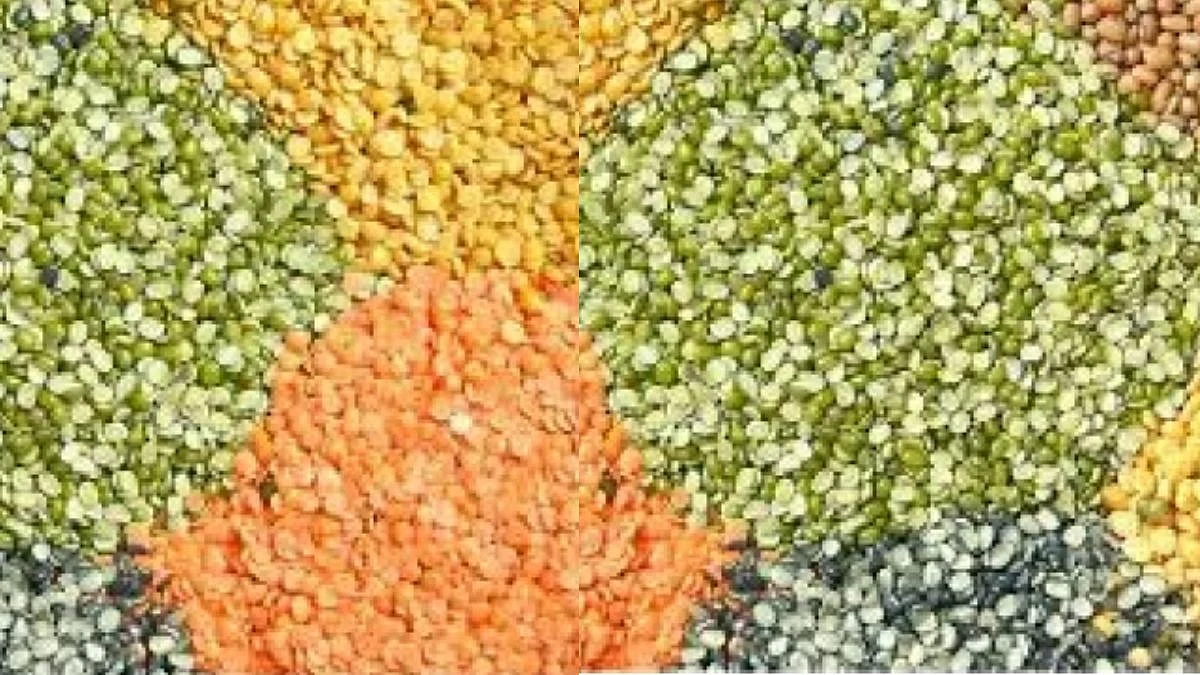 Diabetes रूग्णासाठी 'मूग डाळ' ठरू शकते फायदेशीर