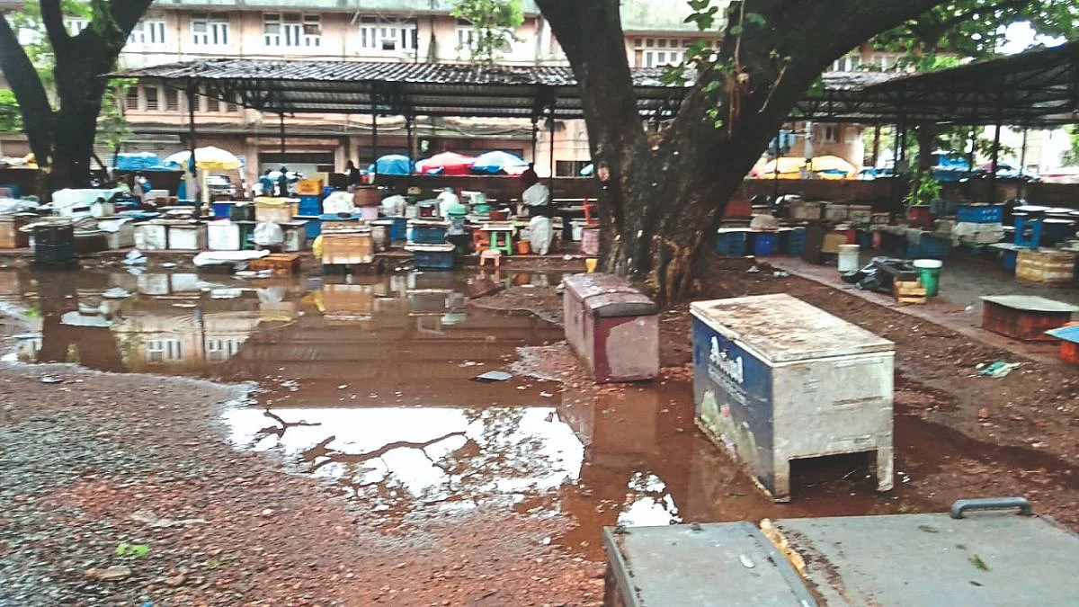 वास्को मासे विक्रेत्यांचा नवा निवारा त्रासाचा!