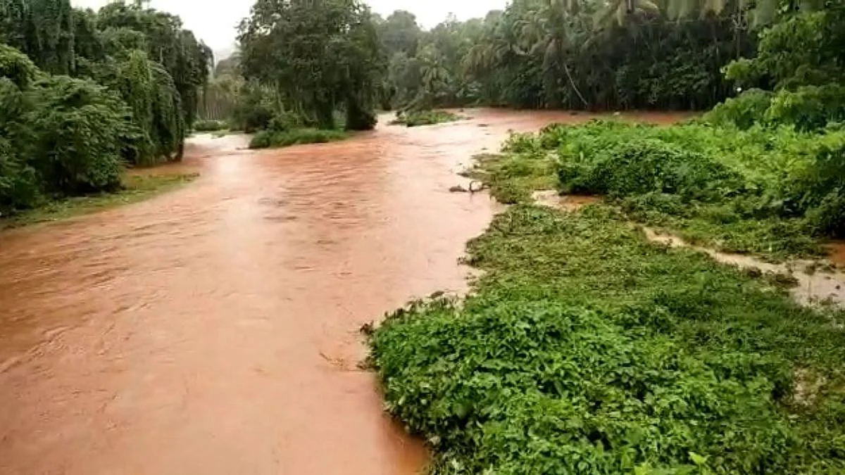 Heavy Rain
