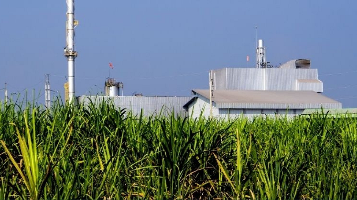 Sanjivini Sugar Factory