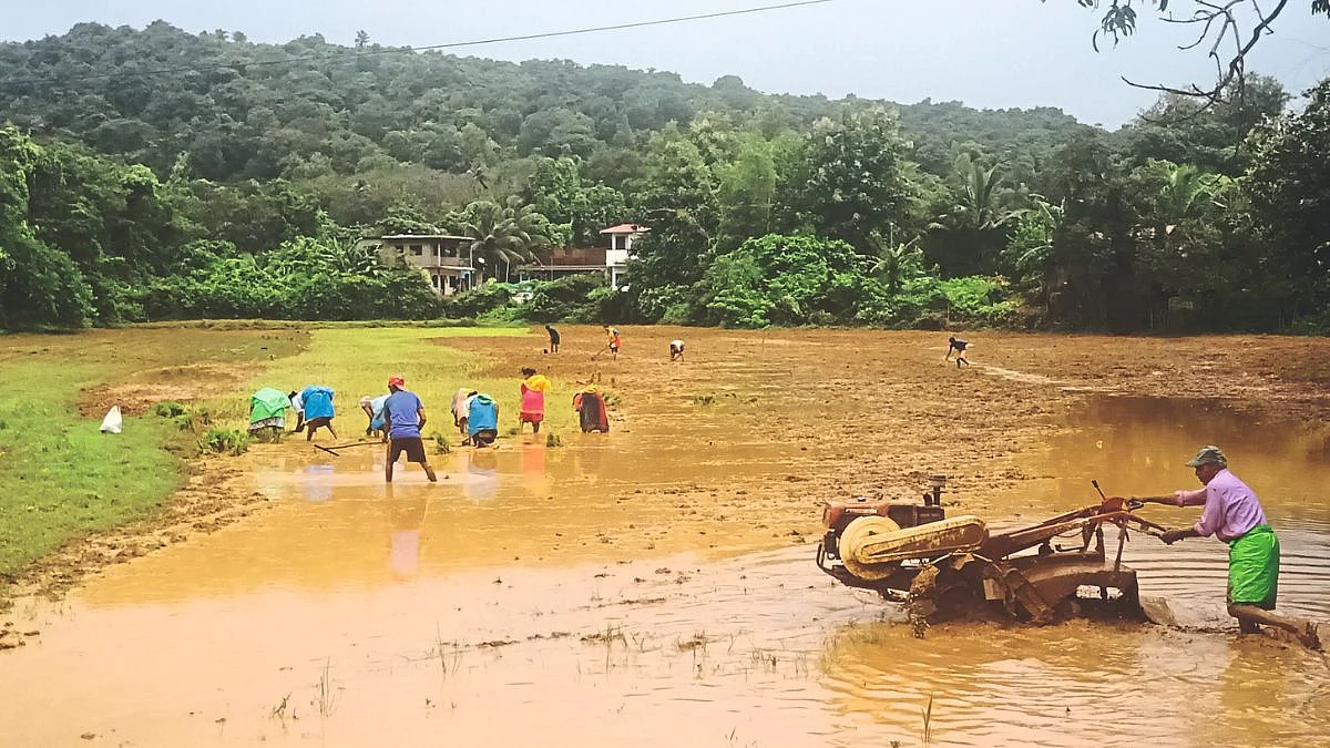 Farming in Goa