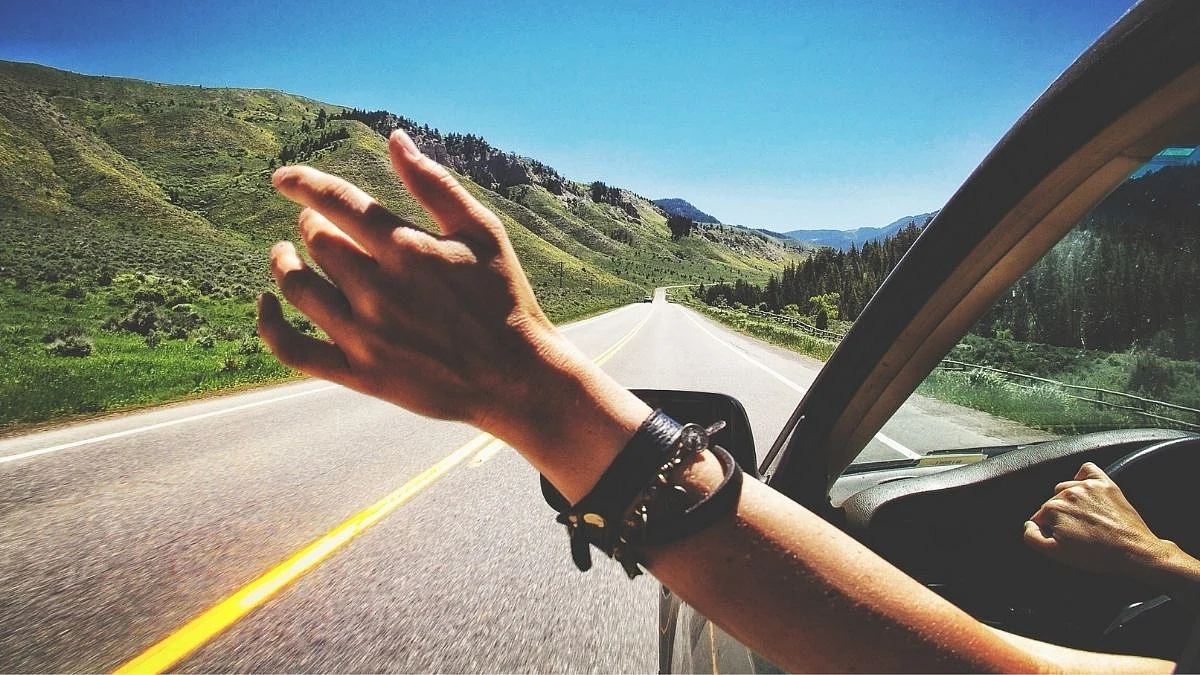 Trip