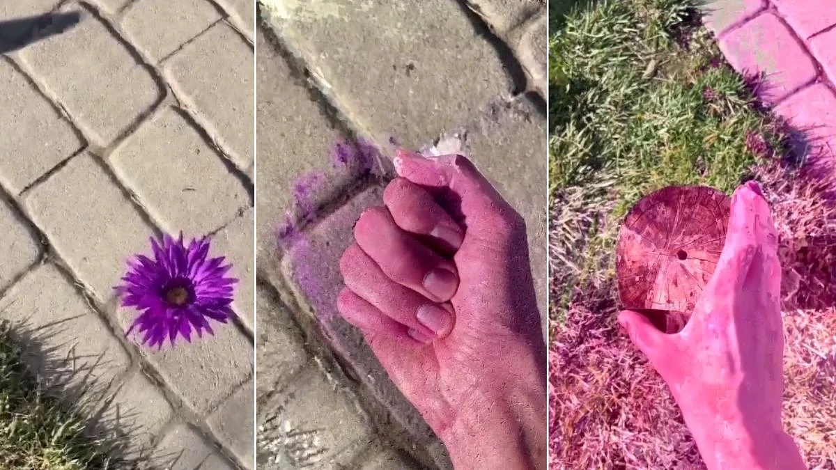 Viral Video| Optical Illusion