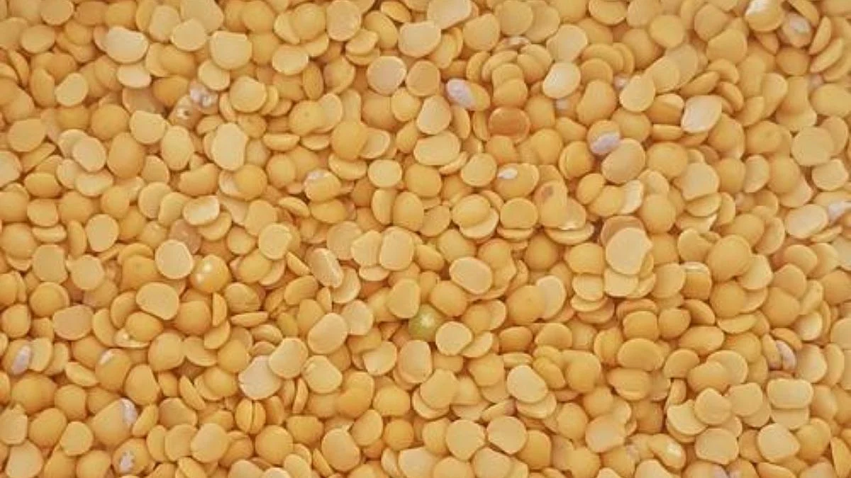 Toordal Wasted by Goa Government