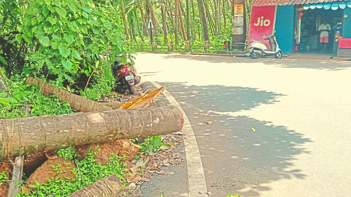 Risk of accidents due to tree trunk on the road