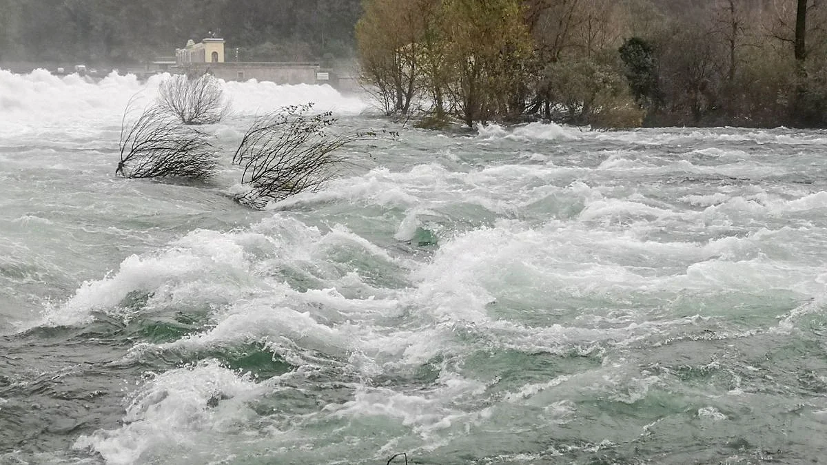 Pakistan Flood
