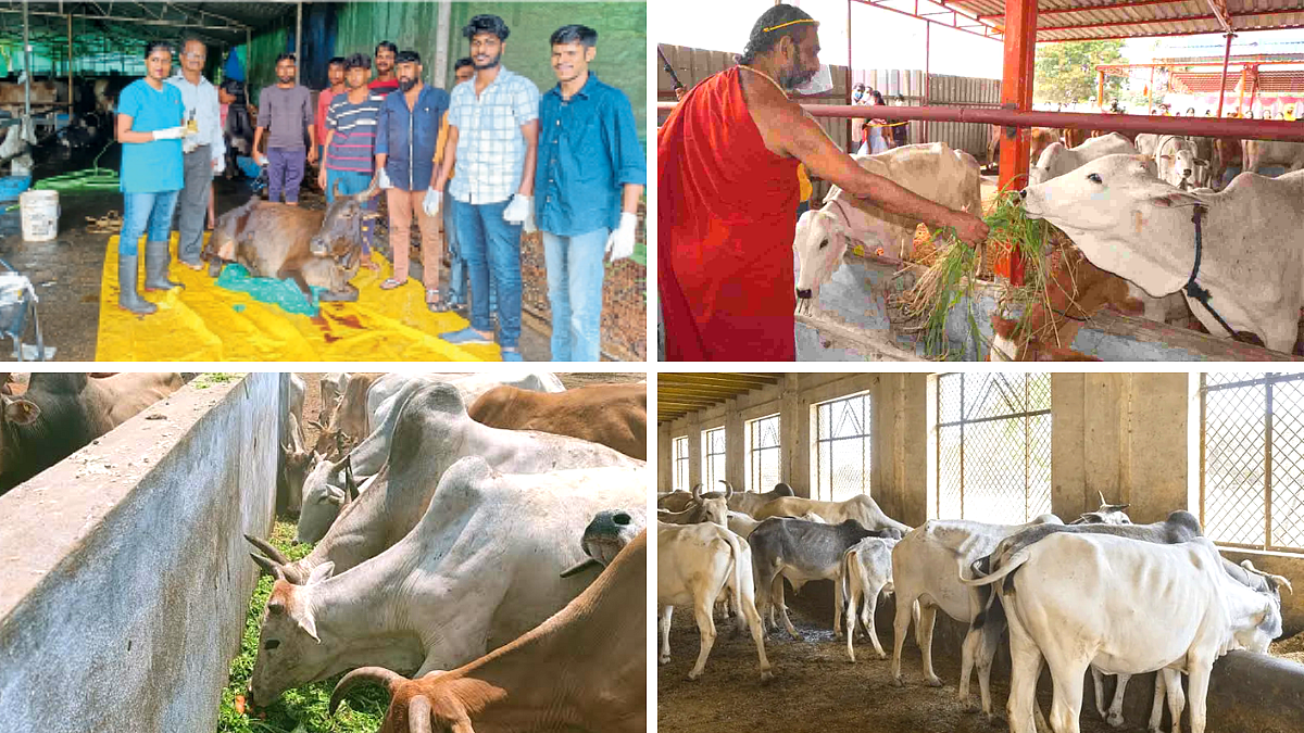 Goa Dhyan Foundation