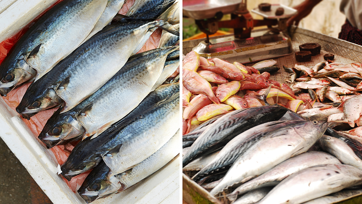 Illegal Fish Sale