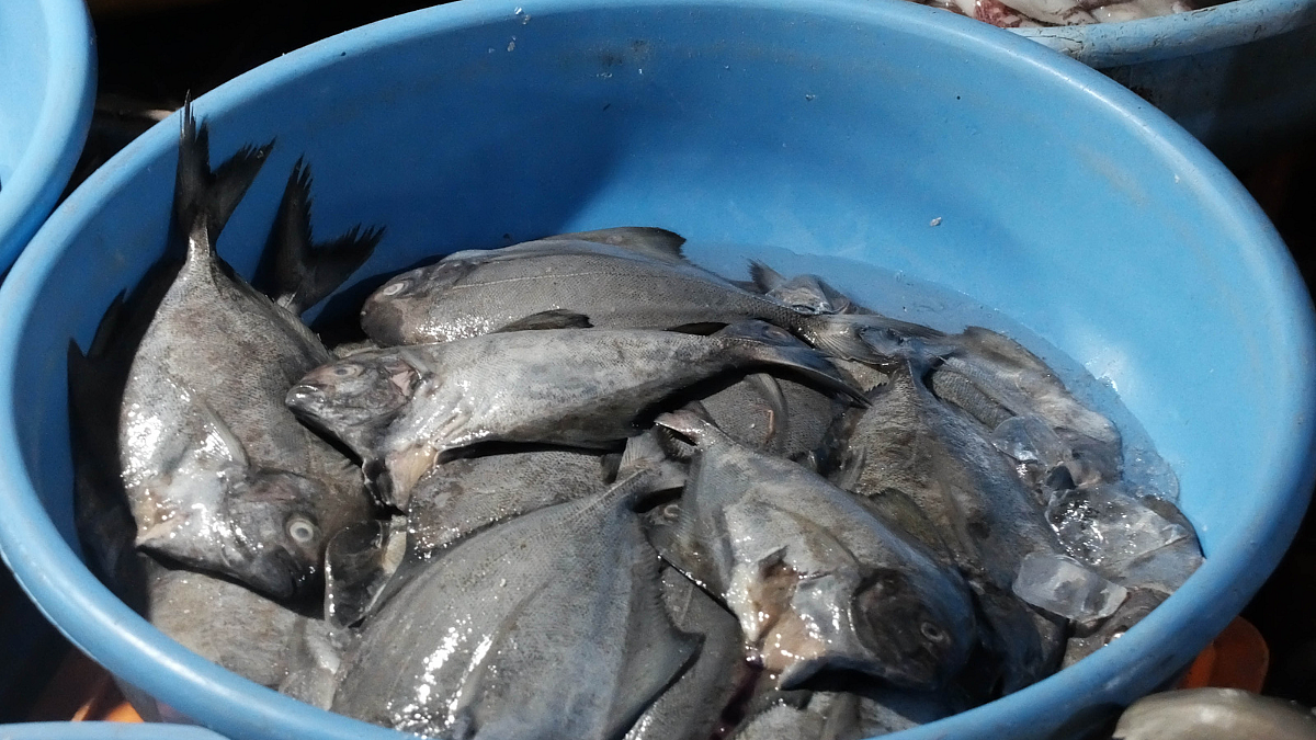 Fish Market