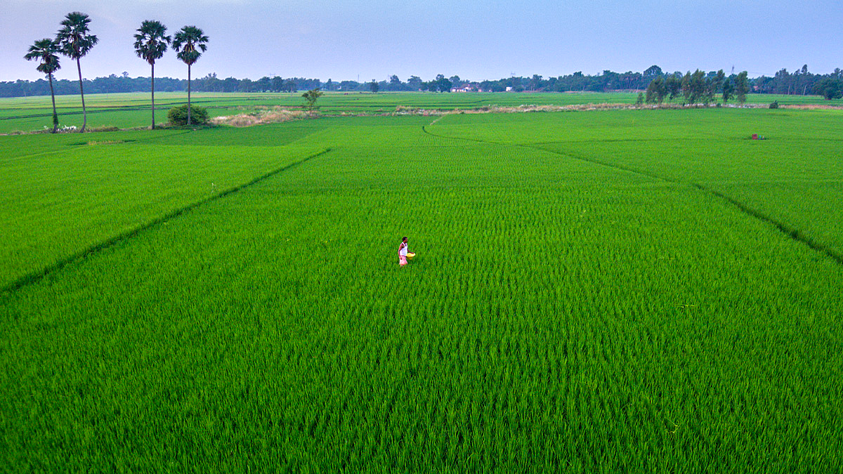 Goa Agriculture |Goa News