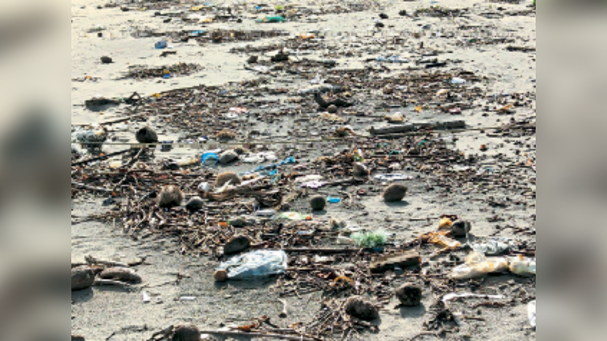 Morjim Beach Garbage