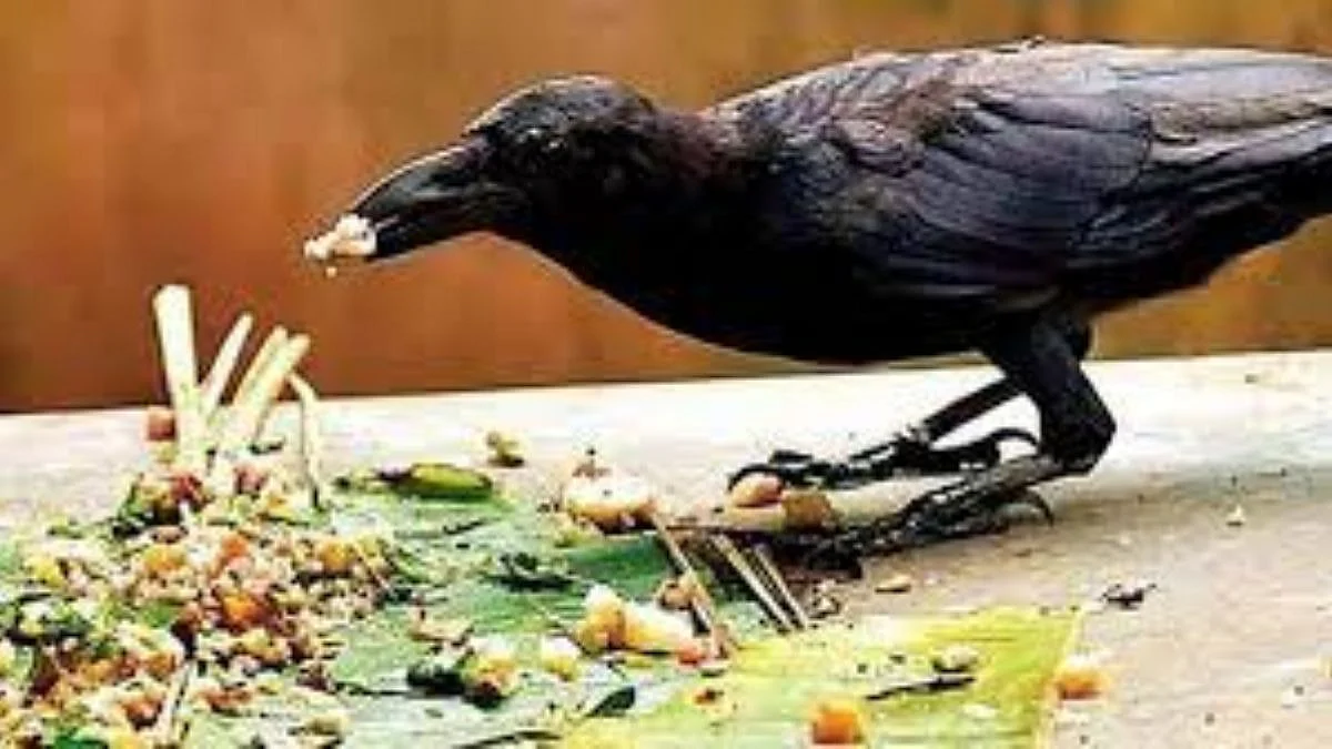 Pitru Paksha 2022