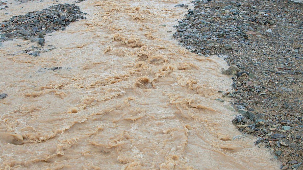 Muddy Water