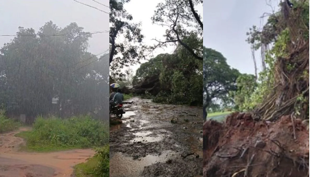 Monsoon Return Journey