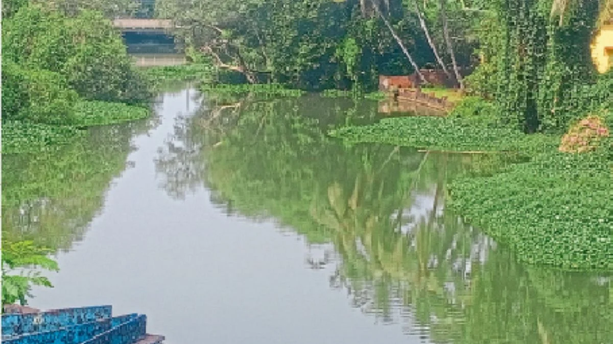 Goa Mapusa River