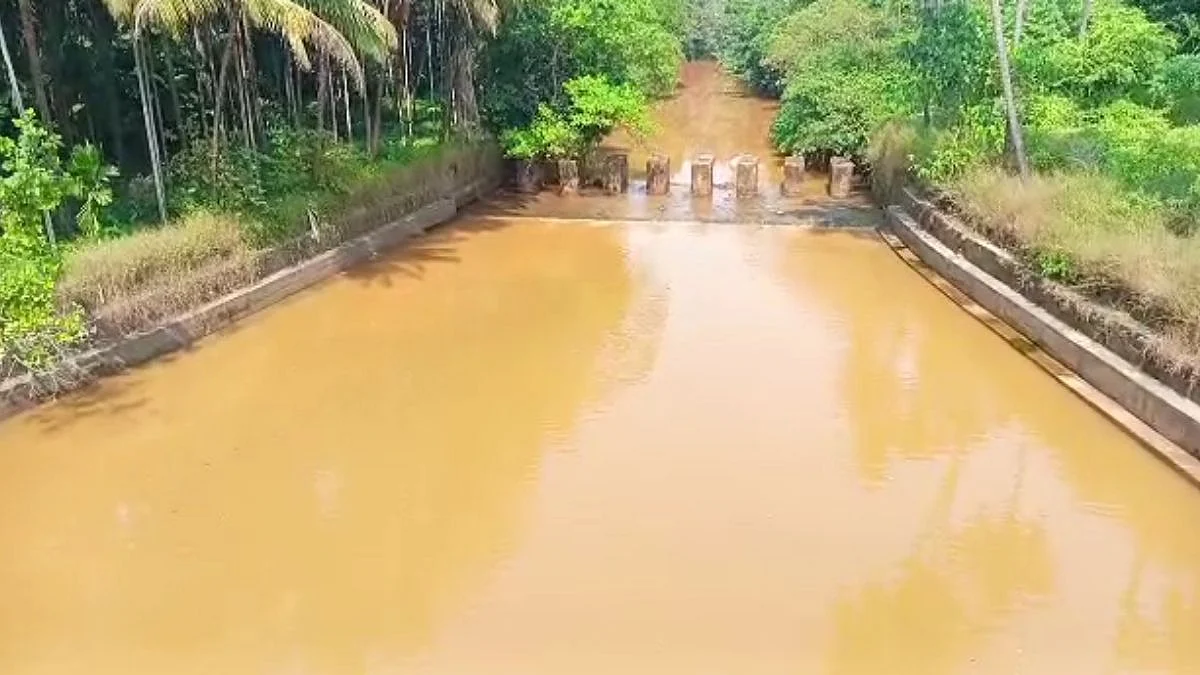 Water Pollution