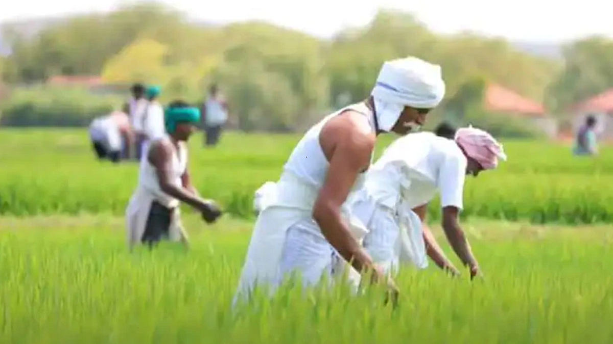 Farmer
