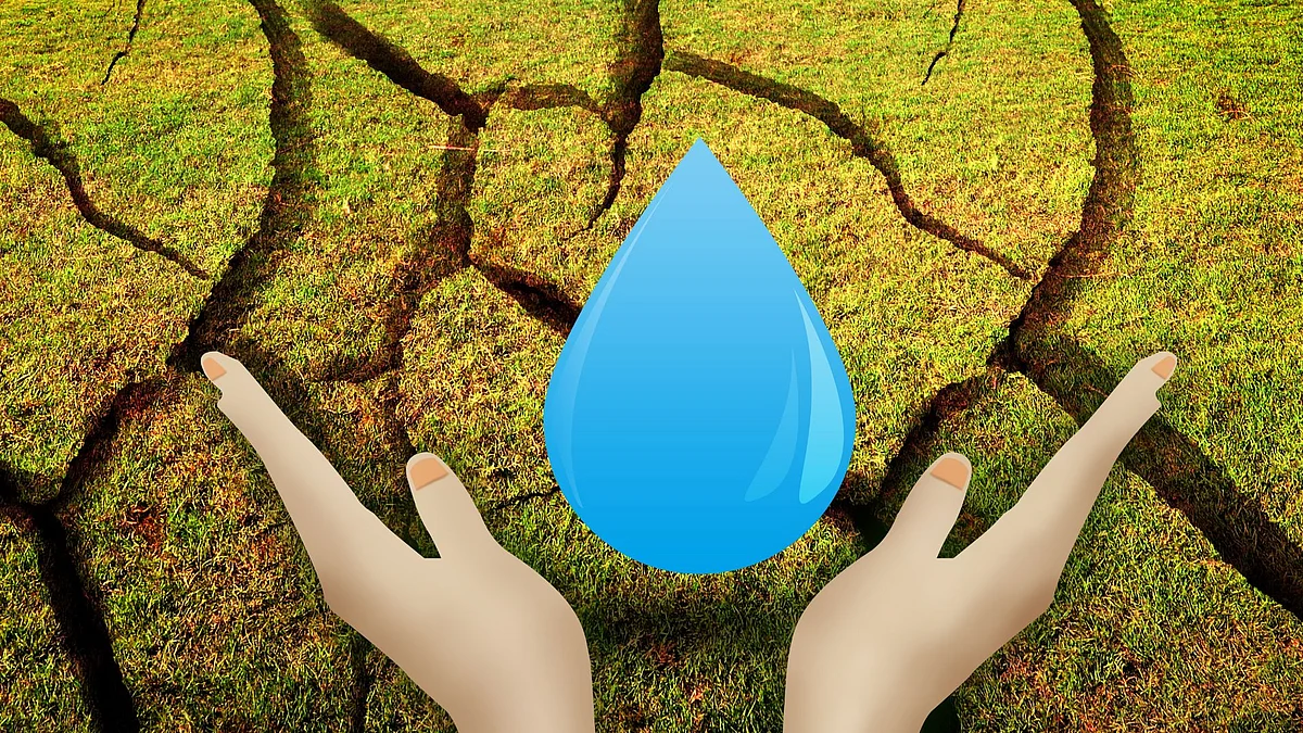 Environment News|Goa News