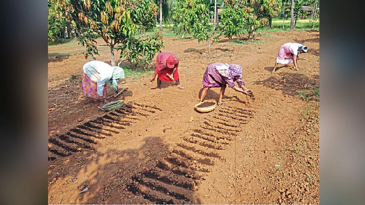 Goa News | Mapusa