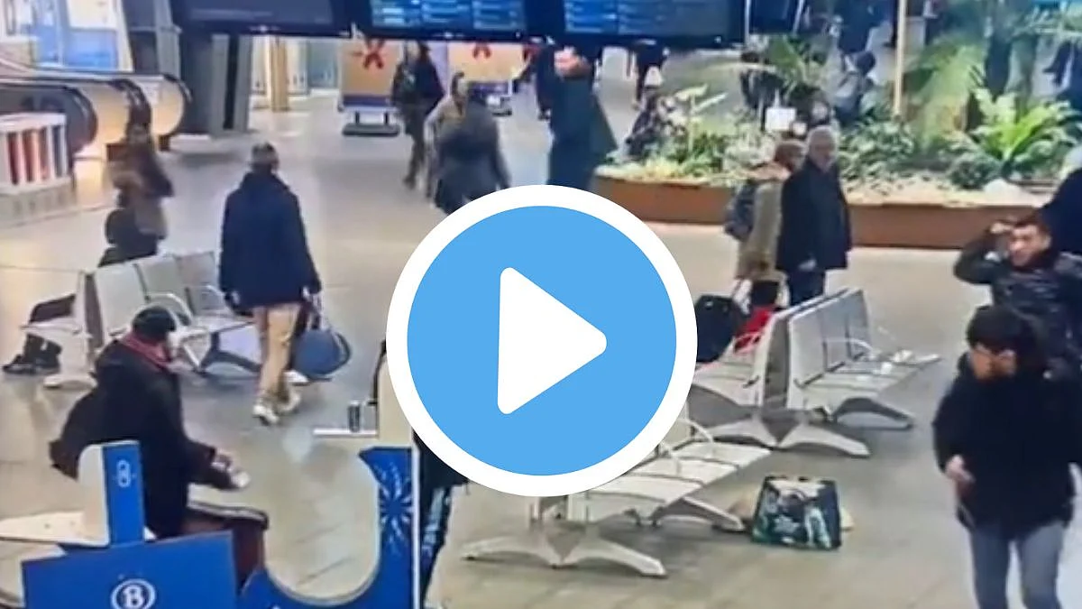 Watch Video| brussels
