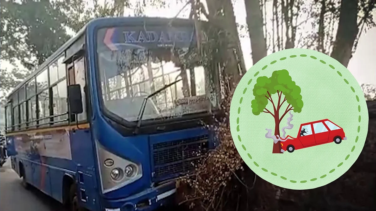 Accident In Goa