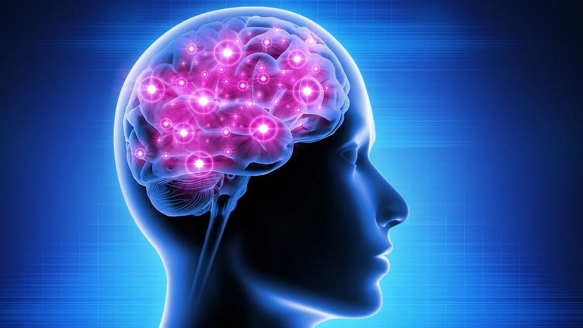 Causes Of Brain Fog