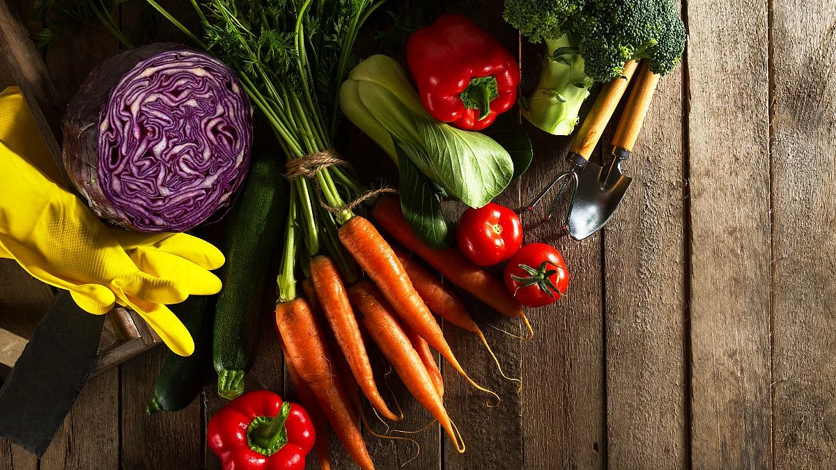 Vegetable