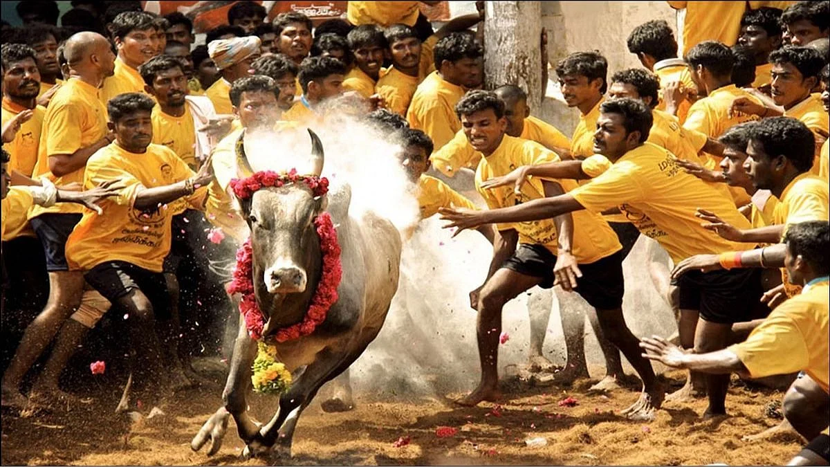 Jallikattu Tamilnadu